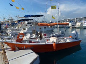 23 ft fishing boat
