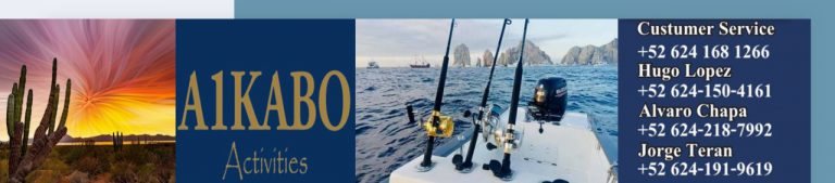 a1 kabo activities contact number