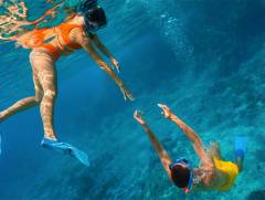 image-slider-with-thumbnail1.jpeg